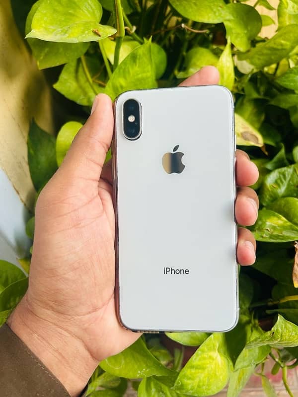 iPhone X (256GB ) 0