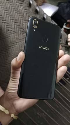 vivo