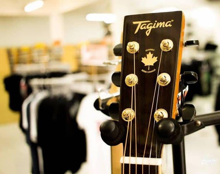 Tagima Vancouver Serie Canada Semi Acoustic Guitar 1