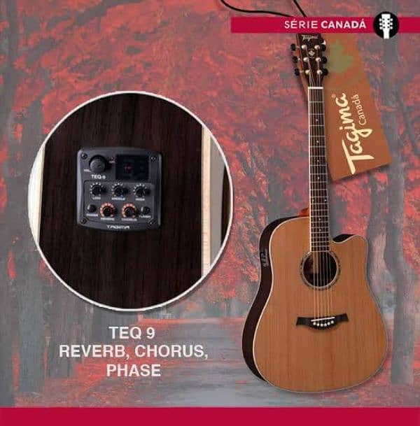 Tagima Vancouver Serie Canada Semi Acoustic Guitar 2