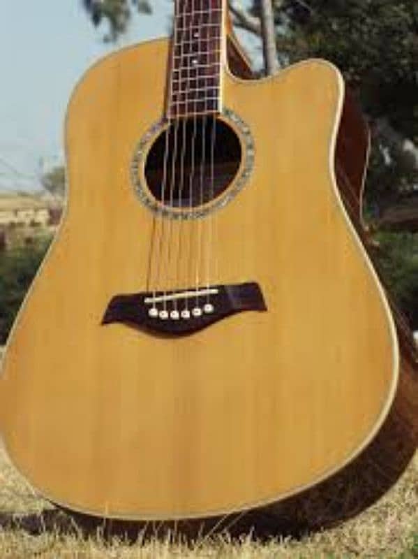 Tagima Vancouver Serie Canada Semi Acoustic Guitar 3