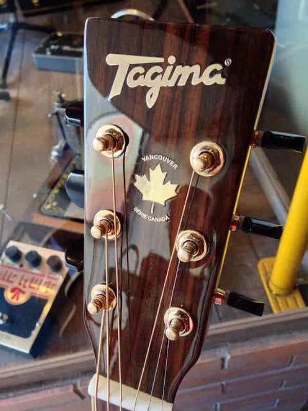 Tagima Vancouver Serie Canada Semi Acoustic Guitar 4