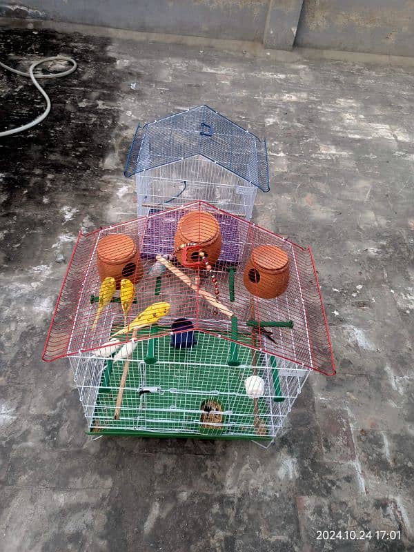 Birds cage for sale 2