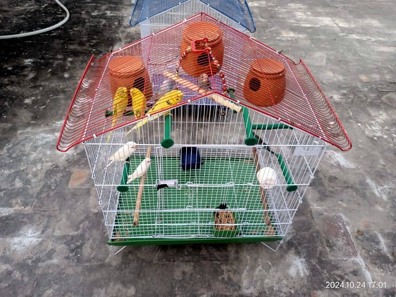 Birds cage for sale 3