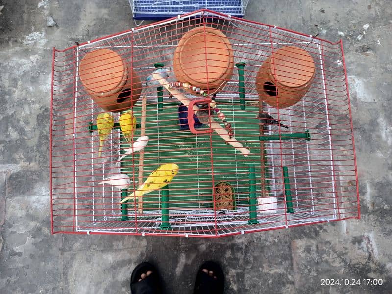 Birds cage for sale 4