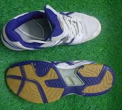 Sports Shoes Badminton Squash Tennis | Non Marking