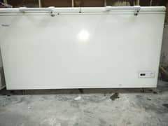 Hair Double door Freezer