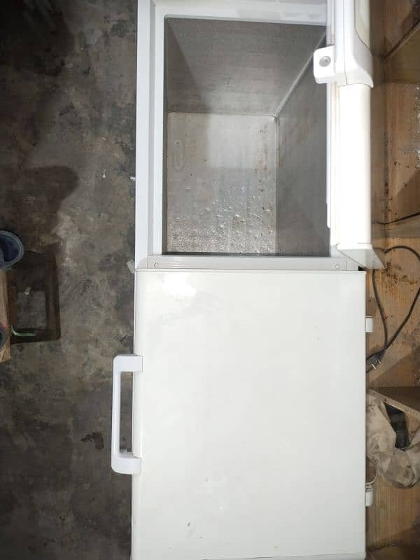 Hair Double door Freezer 1