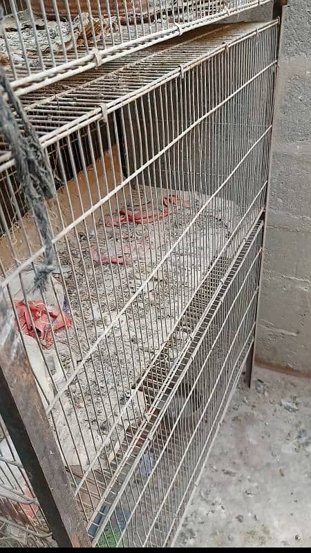 heavy cage 0