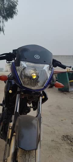 Yamaha