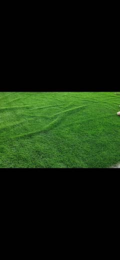 Grass carpet