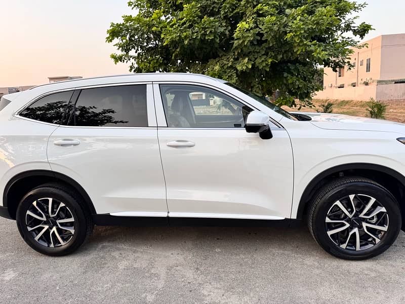 New Haval H6 1.5T August 2024 White Color with Burgundy Interior. 4