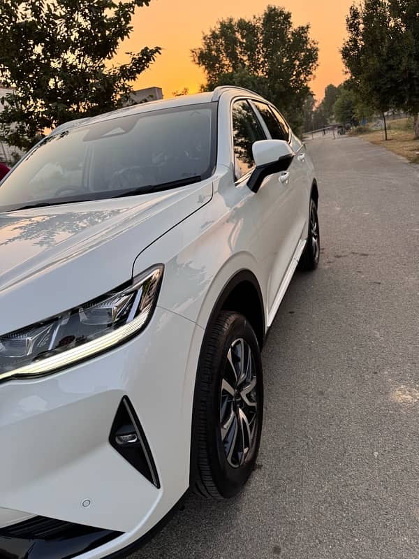 New Haval H6 1.5T August 2024 White Color with Burgundy Interior. 11