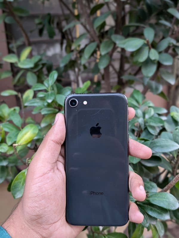 iPhone 8 64gb Factory Unlocked 0