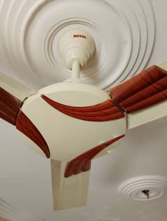 Royal ceiling fan