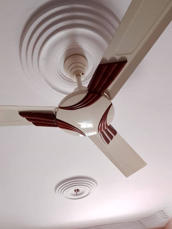 Royal ceiling fan 1