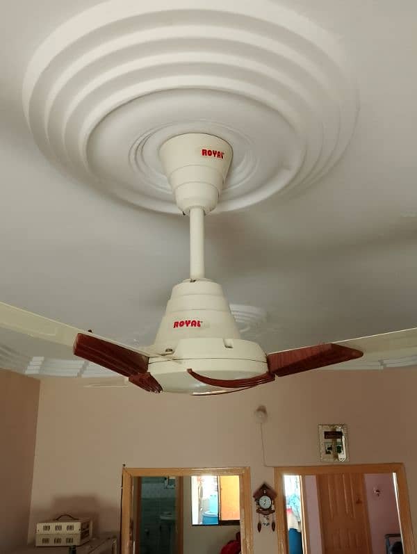 Royal ceiling fan 2