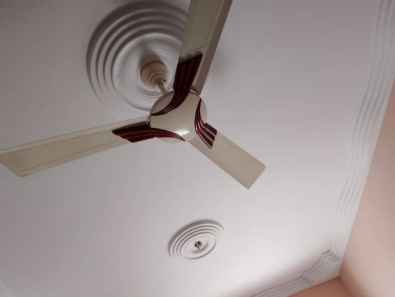 Royal ceiling fan 3