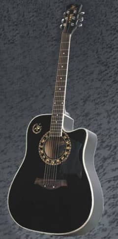 SWIFT HORSE acoustic guitar SH-413-Black