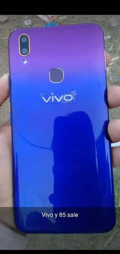 vivo