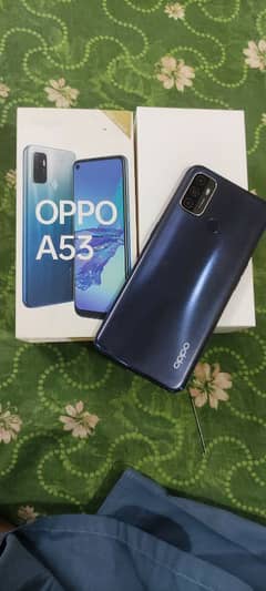 oppo