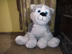 husky toy dog