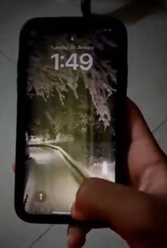 iphone XR panel