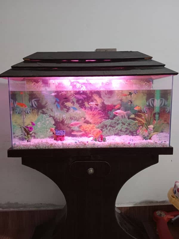 Fish Aquarium 03436740541 1