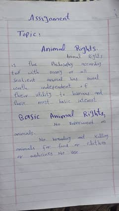 Handwritten assignment