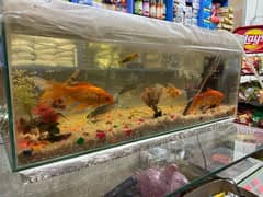 Fish Aquarium for sale