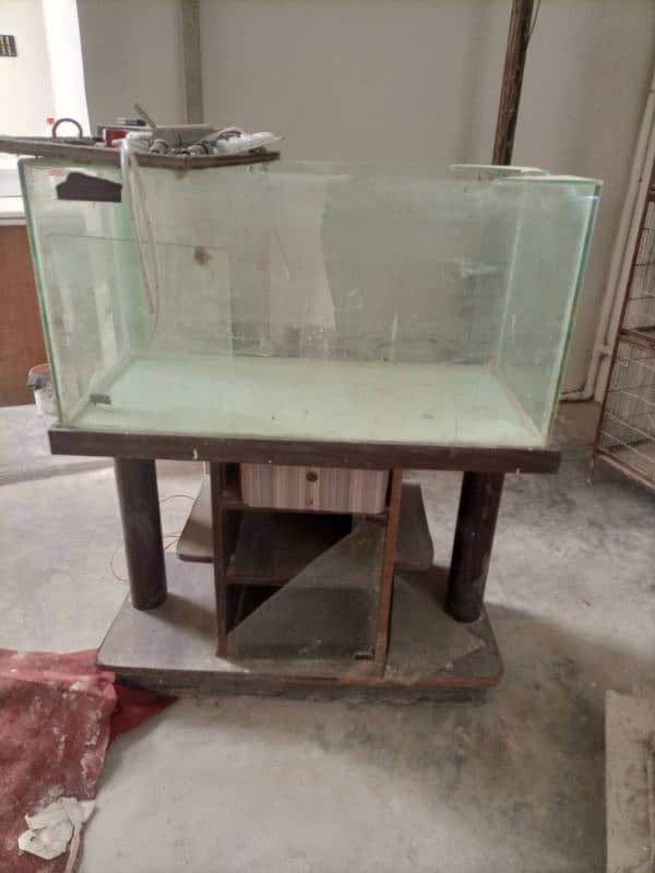 Fish Aquarium 2