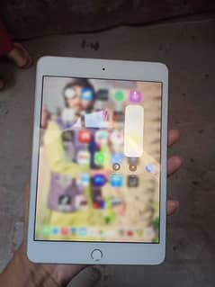 Ipad mini 5 256gb 0