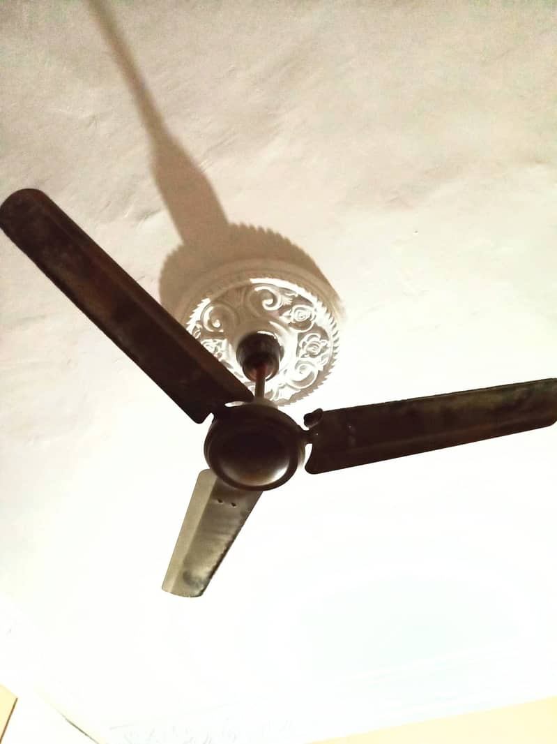 04 CEILING FANS 2