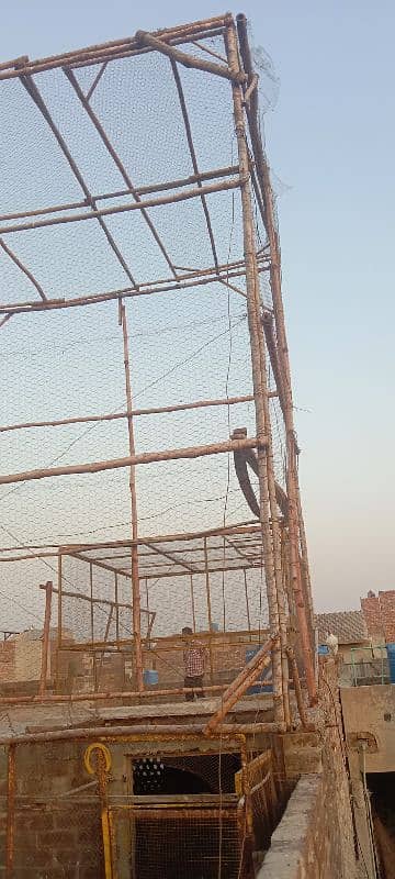 woooden ka cage of pigeon Full ready sara khud tayar krwayaa huaa h 2