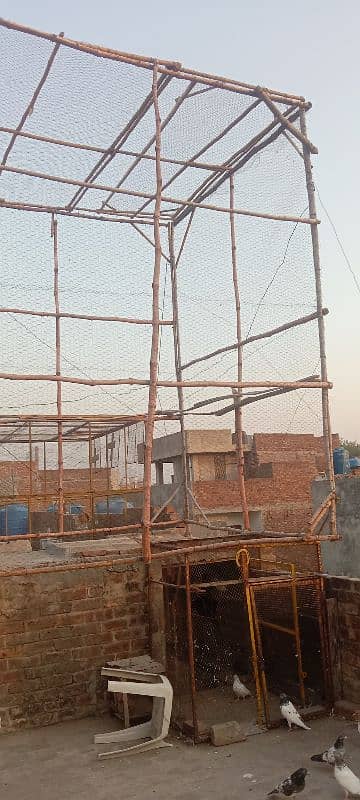 woooden ka cage of pigeon Full ready sara khud tayar krwayaa huaa h 4