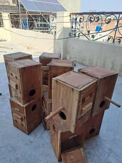 love birds boxes 0