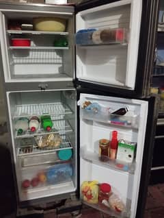 pel fridge medium size