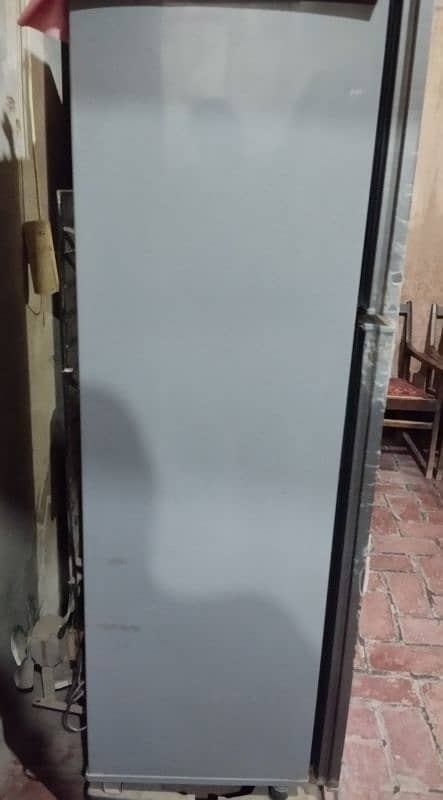 pel fridge medium size 2