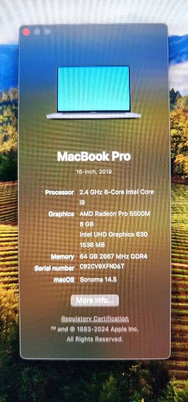 Apple Macbook Pro 16" 2019 64GB 2TB 8GB (Read ad details) 6