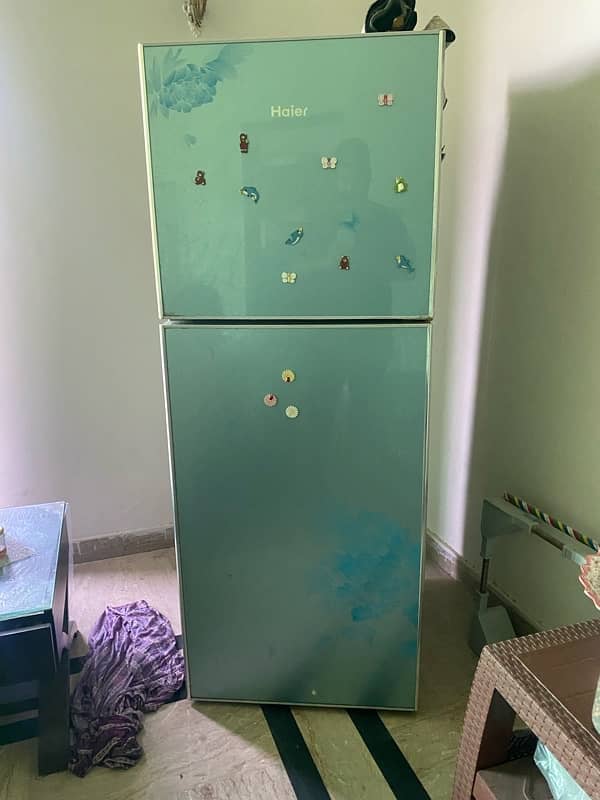 glass door refrigerator  full size  space  issue 3