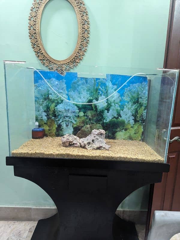 3 feet aquarium with table and top and gravure 1