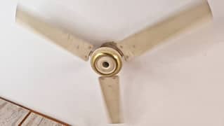 Best AC like fans