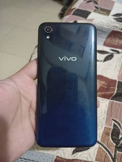 vivo