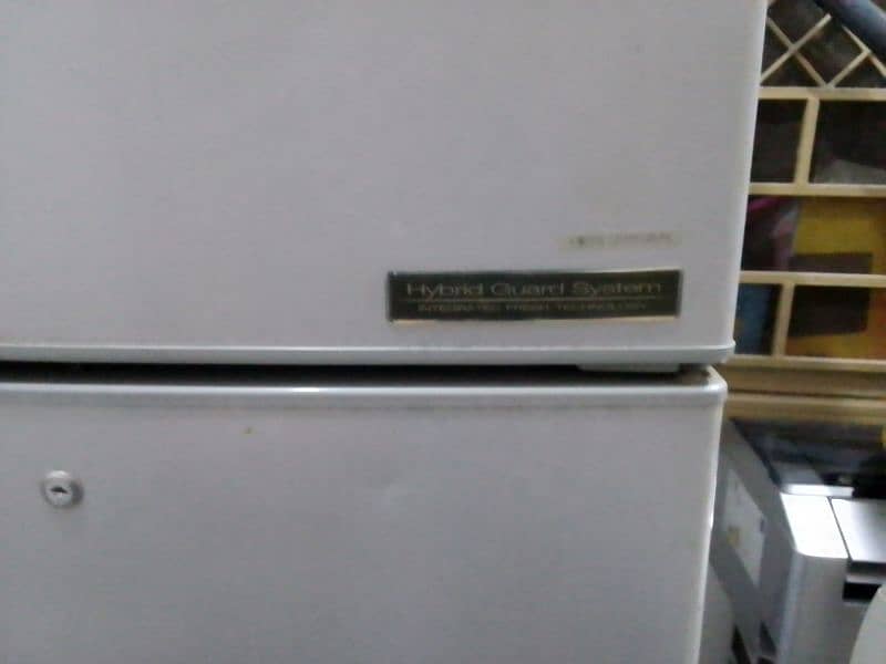 fridge - freezer 6