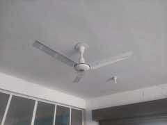 Royal Fan Roof fan floor fan