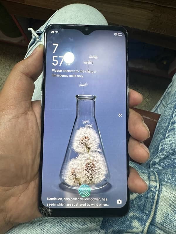 Oppo F15 1