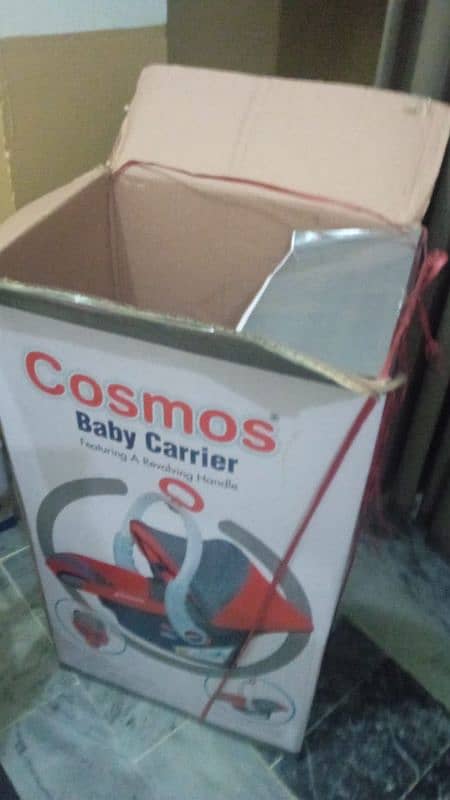 cosmos baby Cort 1