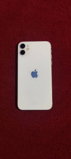 Iphone 11 non PTA Anda piece available