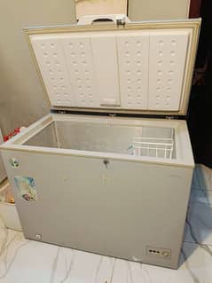 big size deep freezer. compressor need repair