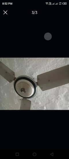 celling fan sale